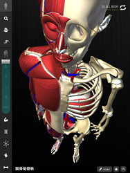 チームラボ Ipadで骨格の動きなどが見れる3d人体解剖アプリをリリース Tech