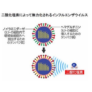 「二酸化塩素分子」に鳥インフルエンザ感染抑制作用があると予測--大幸薬品