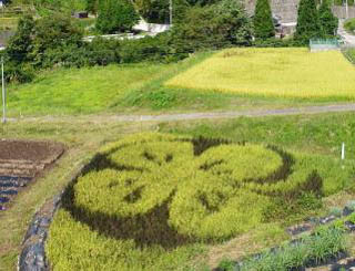 岐阜県の水田にアートが出現!　「田んぼアート田植え体験会」開催