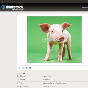かわいい動物の赤ちゃんの写真素材を期間限定で無料配布 - Thinkstock