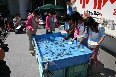 富山県滑川市で目玉飛ばしコンテストなどを行う ホタルイカ祭り 開催 マイナビニュース