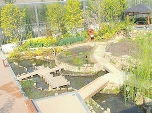 京都府・京都水族館でメダカやアメンボなど"里山のいきもの"に触れる企画展