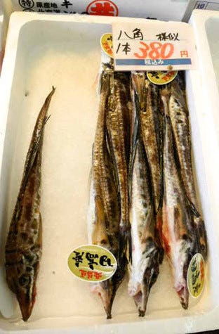 北海道の魚介を楽しむなら札幌がベスト 北海道でウマい魚と出合うコツ マイナビニュース