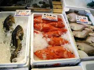 北海道の魚介を楽しむなら札幌がベスト!?　北海道でウマい魚と出合うコツ