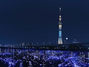 東京都・隅田川に約10万個の光の球を放流する「東京ホタル」を開催