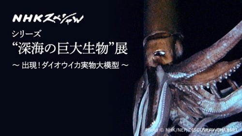 東京都 渋谷で 深海の巨大生物 展 ダイオウイカの実物大模型も マイナビニュース