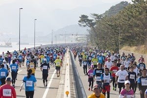 「湘南国際マラソン」が11月3日開催 -神奈川県・相模湾沿いの3市2町を走る