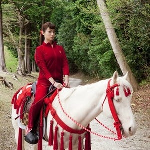 深田恭子、赤ジャージで白馬を乗り回す! 濱田岳もタジタジの姉役で出演決定