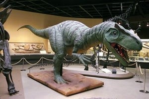 東京都・玉川髙島屋で「恐竜大図鑑展」開催 - 全長9mの複製骨格も