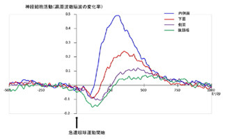 東北大 目を急速に動かしても視覚イメージがぶれない謎を解明 Tech