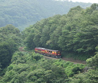 癒やしを求め、ローカル線「わたらせ渓谷鐵道」のトロッコ列車旅へいざっ!