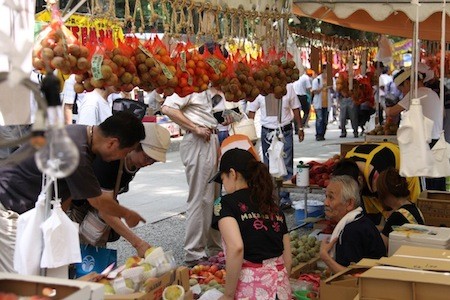 東京都府中市の大國魂神社で すもも祭 を開催 からす団扇 など頒布 マイナビニュース