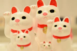 東京都六本木で開催! 猫がモチーフの和菓子を楽しめる"甘いねこ展"レポート