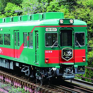 南海電鉄、こうや花鉄道「天空」で行く日帰り「高野山1日満喫プラン」発売