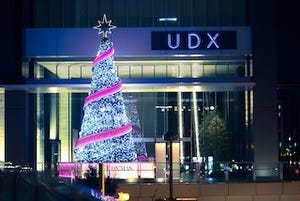 東京都・秋葉原UDXで、高さ10m・地域最大級のイルミネーションが点灯