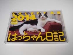 東京都 世田谷のねこギャラリーで 元祖アイドル猫の写真展開催 マイナビニュース