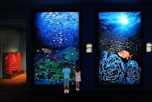 東京都・目黒に、「伊東昭義美術館」オープン -海中のような臨場感を体感