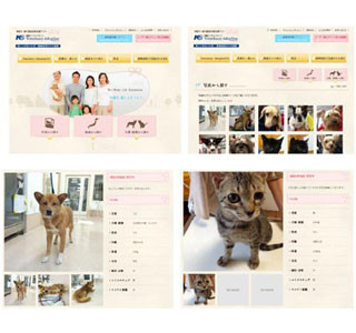 全国の動物病院に保護されている犬・猫と里親のマッチングサイトオープン