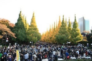 東京都・神宮外苑で「いちょう祭り」開催 -フードフェスや産直品販売も