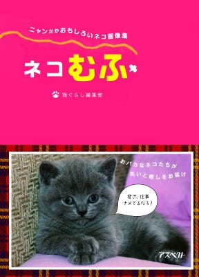 445枚のおもしろネコの画像を集めた ネコむふ が話題に マイナビニュース