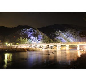 嵐山と嵯峨一帯を「灯り」と「花」で彩る「京都・嵐山花灯路-2013」開催