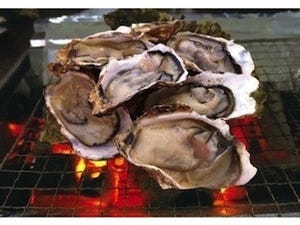 東京都・お台場に、牡蛎が食べ放題になる冬季限定「かき小屋」が登場
