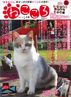 ドラマ あまちゃん に登場した猫の特集 猫雑誌ねこころ刊行 マイナビニュース