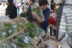 東京都・勝ちどきで、"葉物野菜"の「太陽のマルシェ」開催 -100店舗出店