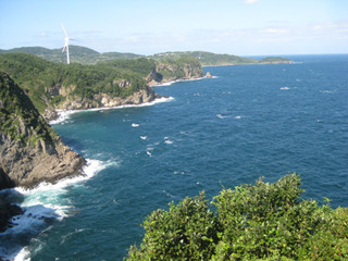 スギの少ない長崎県平戸市・的山大島で、"花粉症向けセラピーツアー"開催