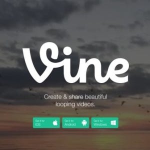 米Twitterの動画サービス「Vine」にWeb版が登場 - PCで動画視聴が可能に