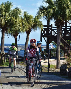 鹿児島県 屋久島の周囲100kmを自転車で走破 サイクリング屋久島 開催 マイナビニュース