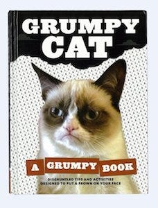 PLAZA、「Grumpy Cat」ぬいぐるみを先行発売 -