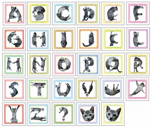 猫の体を使って文字を書いてみた マイナビニュース