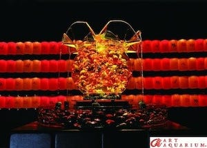 大阪府・梅田で「アートアクアリウム展」開催 -巨大金魚鉢が登場!