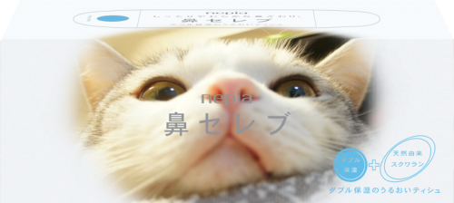 うちの猫でmy鼻セレブのオリジナルパッケージを作ってみた マイナビニュース