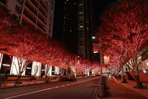 東京都・六本木けやき坂通りのイルミネーションがバレンタイン仕様に!