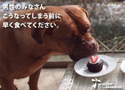 チョコをもらったらすぐ食べて 2月は犬猫のチョコレート誤飲が急増 マイナビニュース