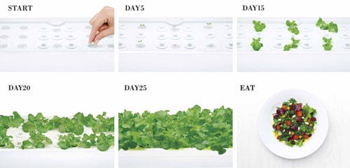 室内で本格水耕栽培! 水やり不要で野菜が収穫できる「Green Farm」に新