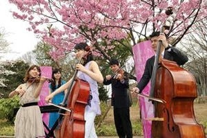 東京都・上野公園で、音楽で桜の開花を祈願する「桜燈コンサート」開催