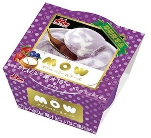 「MOW ダブルベリー&チーズ」を限定発売 -森永乳業