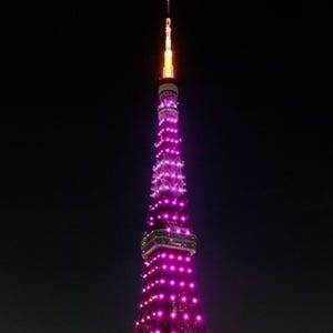 東京タワー初! 桜開花宣言の夜にピンク1色にライトアップ