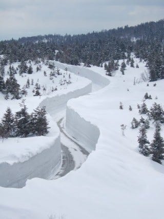 青森県 八甲田で 開通前の2日間限定イベント 雪の回廊ウォーク を実施 マイナビニュース