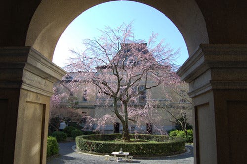 京都府庁旧本館で 観桜祭 開催 ステージイベント ワークショップも実施 マイナビニュース