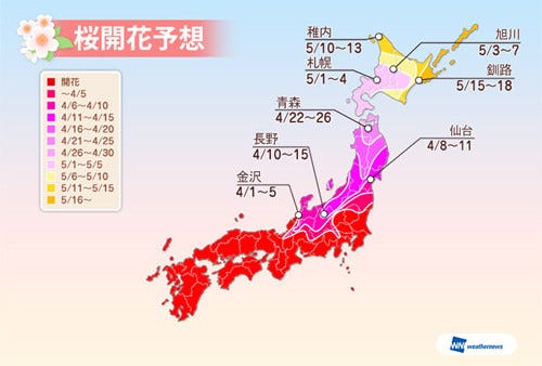 石川県 兼六園で4 2に開花 開花前線は北上し 長野は4 10 仙台は4 8に マイナビニュース