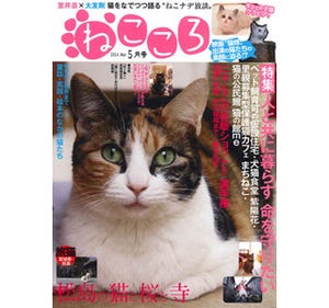 猫が編集長の雑誌「ねこころ」5月号発売 - 仮設住宅に暮らす猫が登場