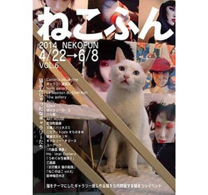 大阪府大阪市で、猫だらけのイベント「ねこふん」開催
