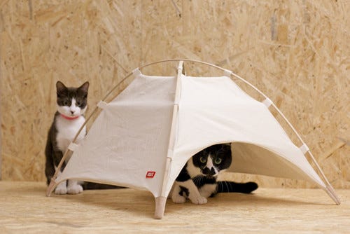 東京都 渋谷パルコに話題のネコ用テントが登場 マイナビニュース