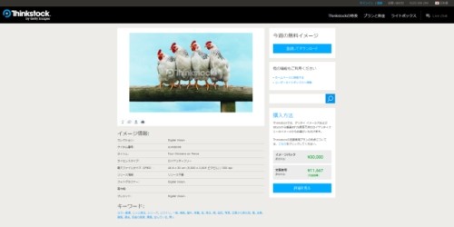 鶏がフェンスの上で並んでいる写真素材を期間限定で無料配布 Thinkstock マイナビニュース