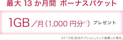 ドコモ 毎月1gb増量される Ipadボーナスパケットキャンペーン マイナビニュース