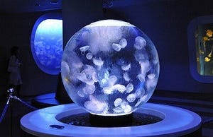 世界一美しいクラゲ展示を目指したら球型水槽"クラゲプラネット"ができた!
